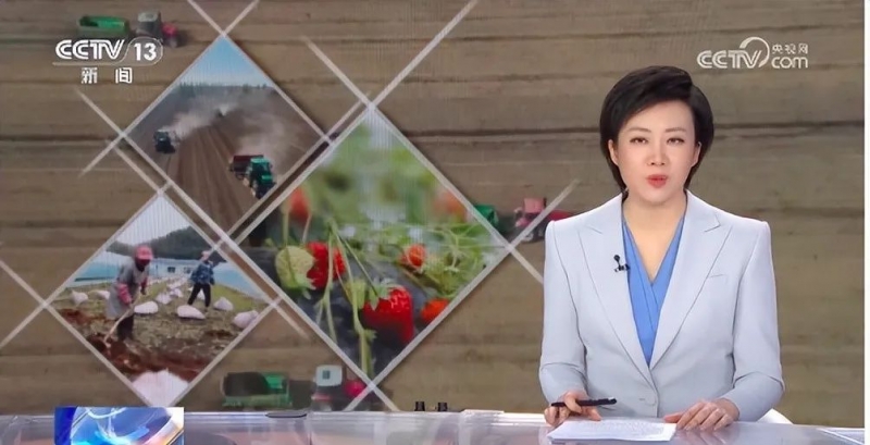 菌肥將是未來(lái)種地好肥料！